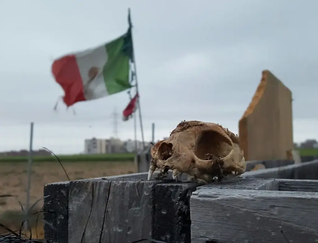 Detalle de la escenografía sobre una cobertura de madera en Distrito 9